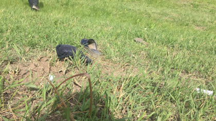 A treia tragedie in ultimele 3 luni - in familia femeii care s-a stins dupa ce ar fi fost strivita de un tractor: de curand i-a murit mama, iar la scurt timp unchiul. Pe 9 mai a implinit 9 ani de casnicie A treia tragedie in ultimele 3 luni - in familia femeii care s-a stins dupa ce ar fi fost strivita de un tractor: de curand i-a murit mama, iar la scurt timp unchiul. Pe 9 mai a implinit 9 ani de casnicie
