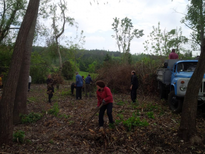 S-a facut ordine, astazi, la Gradina Botanica. Mai multi voluntari au dat o mana de ajutor pentru a aduna crengile rupte si copacii distrusi - GALERIE FOTO