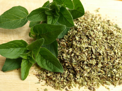 Tu folosesti oregano atunci cand gatesti? Ce se intampla cand acest condiment nimereste in organismul tau Tu folosesti oregano atunci cand gatesti? Ce se intampla cand acest condiment nimereste in organismul tau