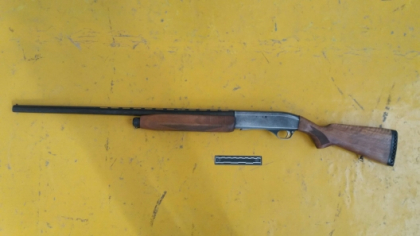 Doi minori din Drochia risca sa faca puscarie dupa ce ar fi furat arme dintr-o... stana - FOTO Doi minori din Drochia risca sa faca puscarie dupa ce ar fi furat arme dintr-o... stana - FOTO