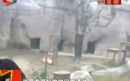 S-a aruncat in cusca unor tigri pentru a fi mancat de animale. Gestul dement al unui barbat din China