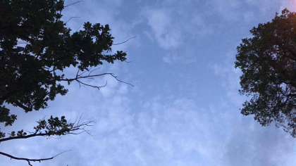 Vremea se mentine calduroasa. Meteorologii anunta maxime de 33 de grade, iar in unele zone ploi de scurta durata. Prognoza meteo - FOTO