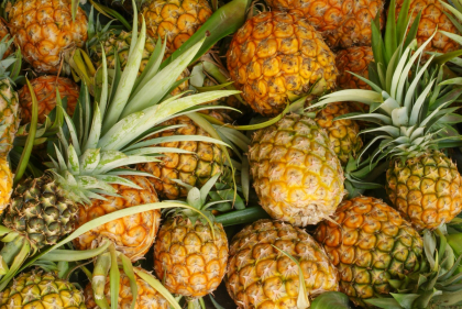 Ce se intampla in organismul tau atunci cand consumi ananas! Asa poti scapa de celulita Ce se intampla in organismul tau atunci cand consumi ananas! Asa poti scapa de celulita