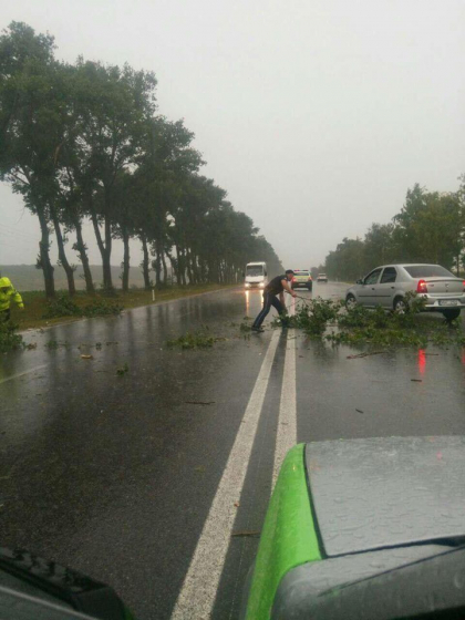 Furtuna de ieri a facut ravagii in nordul tarii. Au fost doborati mai multi copaci peste traseele nationale - FOTO Furtuna de ieri a facut ravagii in nordul tarii. Au fost doborati mai multi copaci peste traseele nationale - FOTO