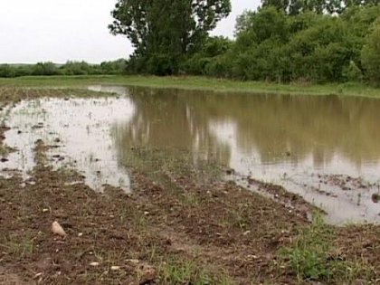 Ploaia de acum doua zile a afectat mai multe regiuni din tara: casele au ramas fara de acoperis, iar hectarele de culturi agricole - distruse - FOTO