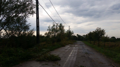 Un barbat din Salcuta s-a stins dupa ce ar fi fost lovit de fulger, in curtea casei