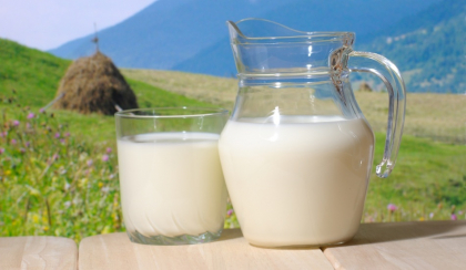 Acesta este cel mai sanatos tip de lapte! Cu ce se deosebeste de cel de vaca Acesta este cel mai sanatos tip de lapte! Cu ce se deosebeste de cel de vaca