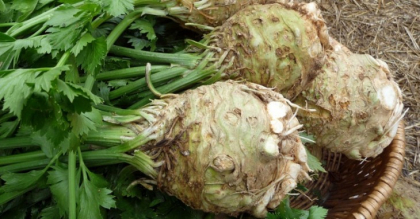 Bautura cu telina si lamaie: scapa de grasimea din organism