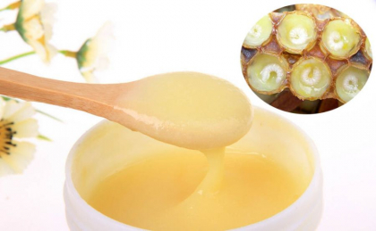 Laptisorul de matca, leac pentru 100 de boli Laptisorul de matca, leac pentru 100 de boli