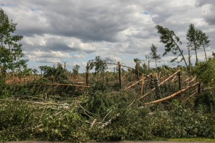 Zeci de mii de arbori, rupti de furtuna in Polonia - VIDEO Zeci de mii de arbori, rupti de furtuna in Polonia - VIDEO