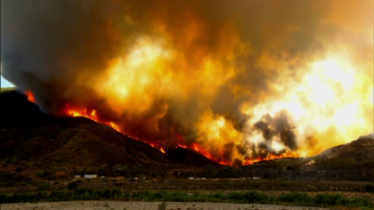 Stare de urgenta in Los Angeles: 2.000 de hectare de padure si vegetatie, mistuite de foc - FOTO
