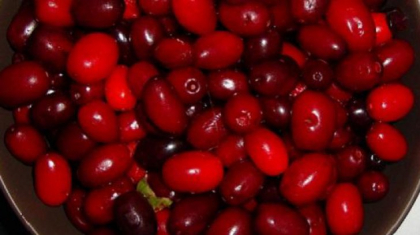Efectul neasteptat al consumului de coarne de padure! Iata ce se intampla in organismul tau