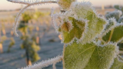 Cod galben de ingheturi. Avertismentul facut de meteorologi cu putin timp in urma Cod galben de ingheturi. Avertismentul facut de meteorologi cu putin timp in urma