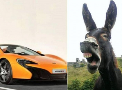 Obligat sa plateasca 5800 de euro, dupa ce magarul a mancat vopseaua de pe un McLaren Obligat sa plateasca 5800 de euro, dupa ce magarul a mancat vopseaua de pe un McLaren