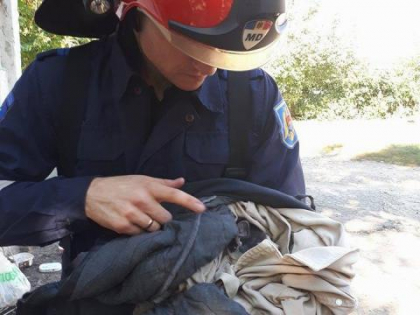 O pisica, ramasa blocata intr-un varf de plop, i-a pus pe jar pe salvatori. Cum s-a desfasurat operatiunea "speciala" a pompierilor - VIDEO O pisica, ramasa blocata intr-un varf de plop, i-a pus pe jar pe salvatori. Cum s-a desfasurat operatiunea "speciala" a pompierilor - VIDEO