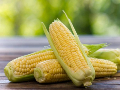 Slabesti 5 kg in 7 zile prin dieta cu porumb Slabesti 5 kg in 7 zile prin dieta cu porumb
