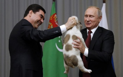 Putin a primit cadou un pui de ciobanesc din Asia Centrala de la presedintele turkmen - VIDEO