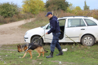 S-au dus la furat struguri, au fost observati, au lasat masina acolo si a doua zi au anuntat ca automobilul le-a fost furat. Cum s-au gandit doi barbati din Glodeni sa scape de pedeapsa pentru furt