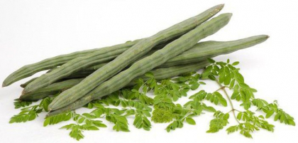 Asta este copacul miraculos care vindeca 300 de boli, inclusiv tumorile si diabetul Asta este copacul miraculos care vindeca 300 de boli, inclusiv tumorile si diabetul