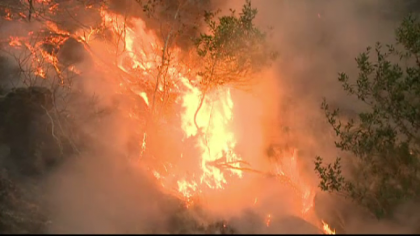 38 de persoane, decedate in incendiile din California. Pompierii sunt in continuare in alerta 38 de persoane, decedate in incendiile din California. Pompierii sunt in continuare in alerta