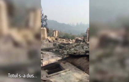 A vrut sa filmeze parjolul din California si si-a regasit cainele pe care il credea mort A vrut sa filmeze parjolul din California si si-a regasit cainele pe care il credea mort