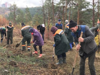 Au iesit sa planteze copaci, chiar si pe ploaie. Mai multi voluntari, dar si angajati ai Spatii Verzi participa la Campania de Inverzire a Plaiului. Dodon, Filip si Grozavu au amanat plantarea din cauza ploii - GALERIE FOTO Au iesit sa planteze copaci, chiar si pe ploaie. Mai multi voluntari, dar si angajati ai Spatii Verzi participa la Campania de Inverzire a Plaiului. Dodon, Filip si Grozavu au amanat plantarea din cauza ploii - GALERIE FOTO