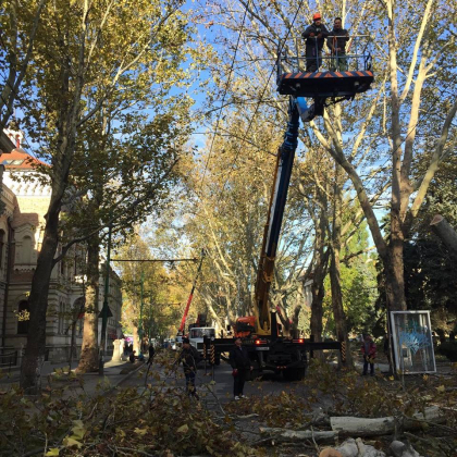 Strada 31 august este inchisa. Au inceput lucrarile, iar cativa arbori au fost pusi la pamant. Cum se circula in zona -  FOTO