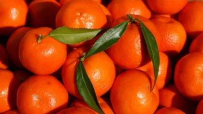 Secretul clementinelor din supermarketuri. Ce sunt de fapt. Mai cumperi? Secretul clementinelor din supermarketuri. Ce sunt de fapt. Mai cumperi?