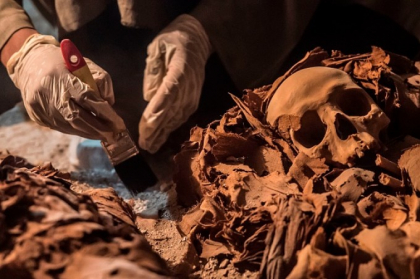 The Independent: Craniile de 300.000 de ani care ar putea rescrie istoria originilor omului