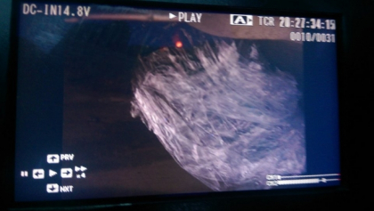 Autoritatile au aflat ce era in pachetul suspect, prins sub masina celor doi soti din capitala: expertii urmeaza sa afle cine l-a pus si cu ce scop Autoritatile au aflat ce era in pachetul suspect, prins sub masina celor doi soti din capitala: expertii urmeaza sa afle cine l-a pus si cu ce scop