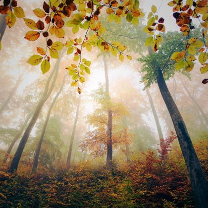 Duminica ar putea sa ninga. Cate grade vom avea. Prognoza meteo pentru acest weekend - FOTO