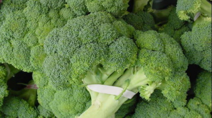 Tu cum gatesti brocoli? Atentie: te poti imbolnavi grav daca faci aceasta greseala Tu cum gatesti brocoli? Atentie: te poti imbolnavi grav daca faci aceasta greseala