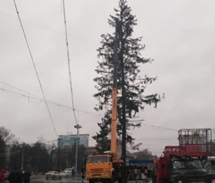 Dupa peripetiile celor doi brazi instalati in PMAN, Silvia Radu a gasit solutia pentru ca, in viitor, Primaria sa nu mai aiba probleme la alegerea pomului de Craciun: "O sa plantam o alee de brazi" Dupa peripetiile celor doi brazi instalati in PMAN, Silvia Radu a gasit solutia pentru ca, in viitor, Primaria sa nu mai aiba probleme la alegerea pomului de Craciun: "O sa plantam o alee de brazi"