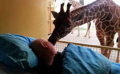 Momentul emotionat in care o girafa isi ia adio de la ingrijitorul Zoo aflat pe moarte. FOTO Momentul emotionat in care o girafa isi ia adio de la ingrijitorul Zoo aflat pe moarte. FOTO