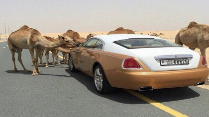 10 lucruri extrem de scumpe pe care si le permit milionarii din Dubai. Excentricitatile de care se bucura in fiecare zi - GALERIE FOTO