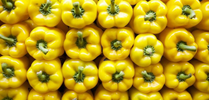 Alimentele care te ajuta sa nu te ingrasi de Sarbatori! Ce sa mananci in fiecare zi Alimentele care te ajuta sa nu te ingrasi de Sarbatori! Ce sa mananci in fiecare zi