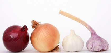 Acestea sunt cele mai eficiente antibiotice naturale! Sigur le ai si tu in casa