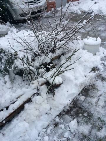Ghetus pe drumuri si temperaturi de pana la 5 grade. Cum va fi vremea in urmatoarele zile. Prognoza meteo - FOTO