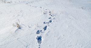 Un barbat, gasit fara suflare pe marginea soselei, in apropiere de Orhei