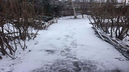 Ghetus pe drumuri si maxime de pana la 5 grade. Cum va fi vremea in urmatoarele zile. Prognoza meteo - FOTO