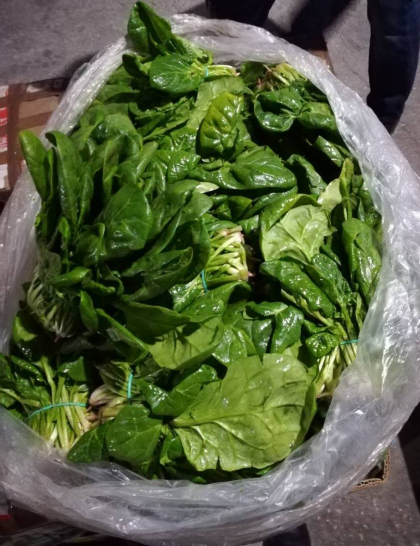 O moldoveanca de 42 de ani si-a ticsit microbuzul cu... verdeturi si a pornit din Ucraina spre Republica Moldova: a fost oprita de vamesi. Cum a impachetat marfa de aproape 80 de mii de lei - VIDEO