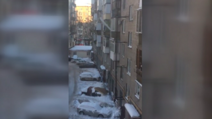 Infuriati ca autoritatile nu indeparteaza turturii de la stresinile cladirilor, doi rusi au decis sa se apuce singuri sa-i dea jos