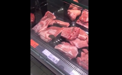 Soarece filmat intr-un supermarket din Romania, plimbandu-se printre carne: "Va musca, nu puneti mana" - VIDEO Soarece filmat intr-un supermarket din Romania, plimbandu-se printre carne: "Va musca, nu puneti mana" - VIDEO