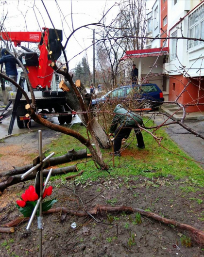 Afara ploua, iar muncitorii plouati fac curat in capitala: taie copacii prin noroi. Asa a inceput campania Silviei Radu: "Facem curat luna" - GALERIE FOTO Afara ploua, iar muncitorii plouati fac curat in capitala: taie copacii prin noroi. Asa a inceput campania Silviei Radu: "Facem curat luna" - GALERIE FOTO