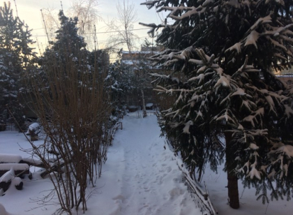 Drumuri inzapezite si minime de pana la -10 grade Celsius. Cum va fi vremea in urmatoarele zile. Prognoza meteo - FOTO