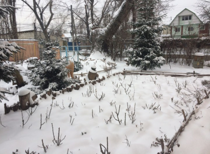 Ninsori, drumuri inzapezite si minime de pana la -10 grade Celsius. Cum va fi vremea in urmatoarele zile. Prognoza meteo - FOTO