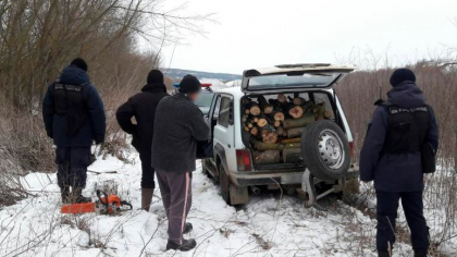 La vama, dupa lemne. Doi moldoveni, prinsi in timp ce taiau copaci in apropiere de frontiera de la Cosauti. Cum au fost surprinsi - FOTO