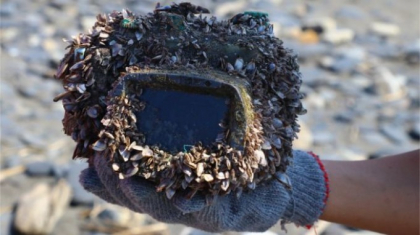 Camera foto pierduta pe mare, gasita dupa 2 ani. Surpriza traita de proprietar