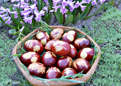 Cum sa vopsesti ouale de Pasti natural, cu coji de ceapa Cum sa vopsesti ouale de Pasti natural, cu coji de ceapa