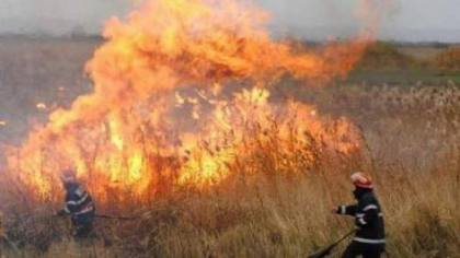 Peste 70 de hectare de vegetatie, mistuite de flacari in ultimile 24 de ore